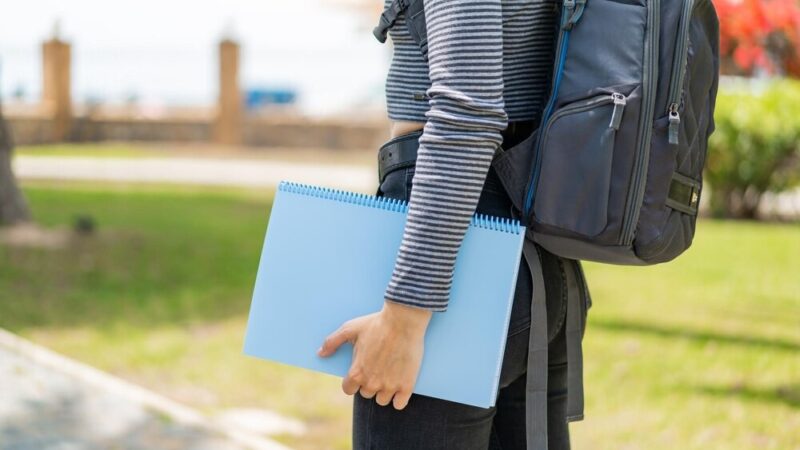 Sukcesy międzynarodowe Szkoły Podstawowej nr 2 w Konstancinie