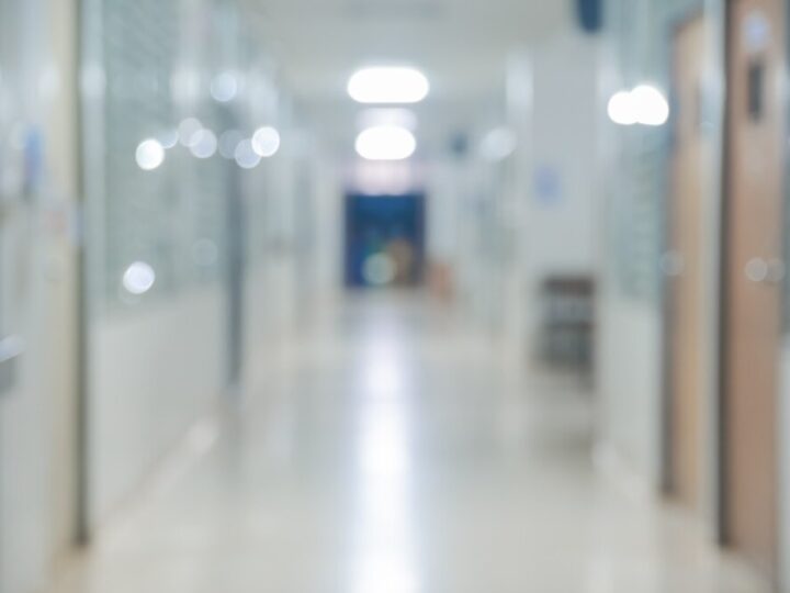 Szczepienie lisów przeciwko wściekliźnie: Uwaga na domowe zwierzęta!