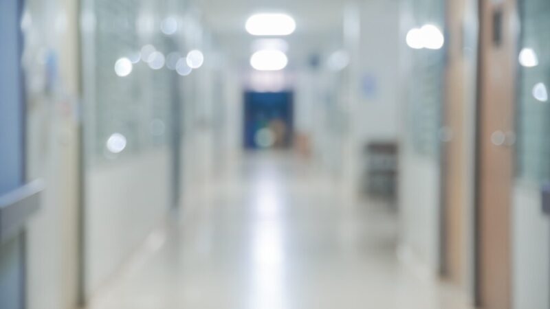 Szczepienie lisów przeciwko wściekliźnie: Uwaga na domowe zwierzęta!